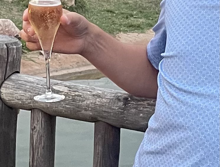 Profil de Zion, 48 ans, Trans Belgique à Bree