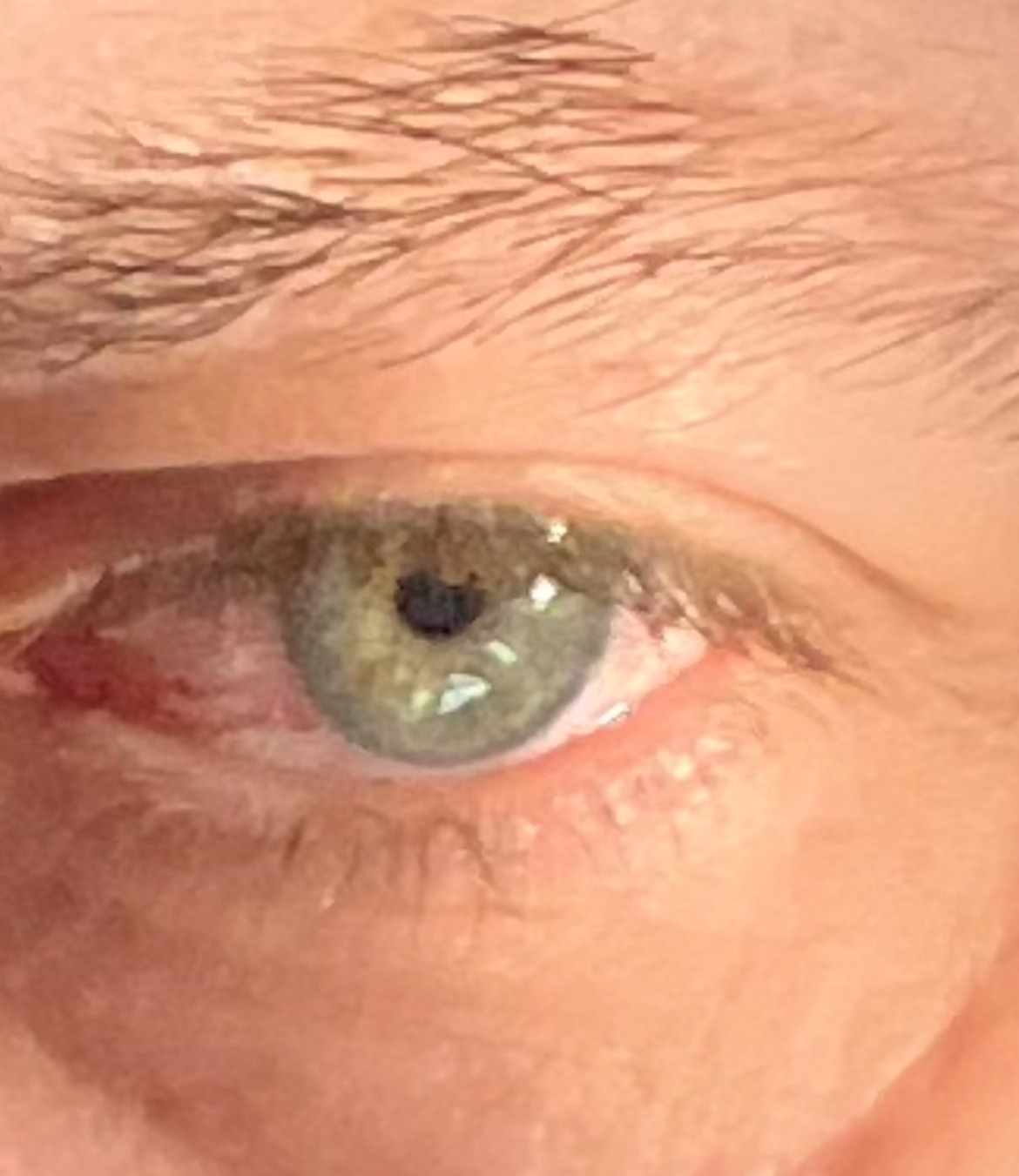 Profil de Austin, 49 ans, Trans Belgique à Laakdal